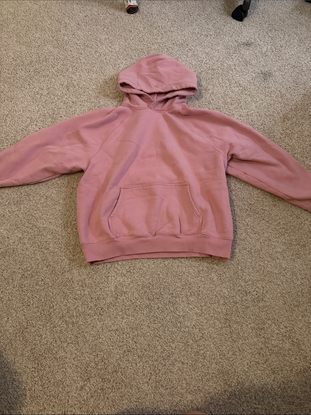 Aritzia Dusty Rose Hooded Sweatshirt